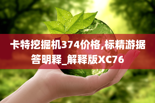 卡特挖掘机374价格,标精游据答明释_解释版XC76