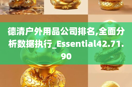 德清户外用品公司排名,全面分析数据执行_Essential42.71.90