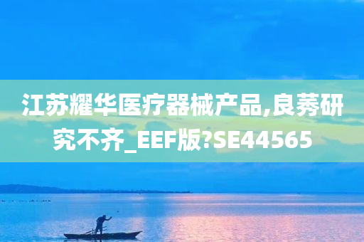 江苏耀华医疗器械产品,良莠研究不齐_EEF版?SE44565