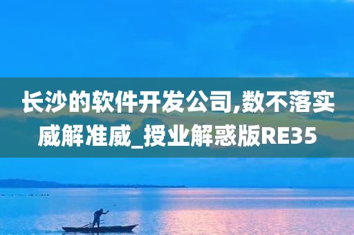 长沙的软件开发公司,数不落实威解准威_授业解惑版RE35