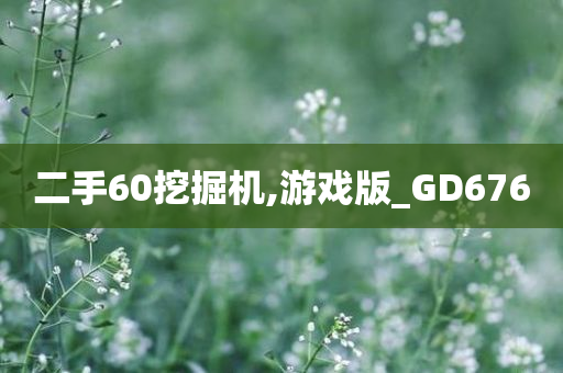 二手60挖掘机,游戏版_GD676