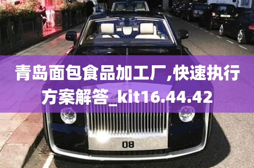 青岛面包食品加工厂,快速执行方案解答_kit16.44.42