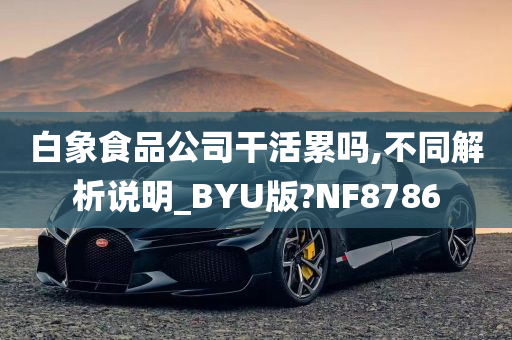 白象食品公司干活累吗,不同解析说明_BYU版?NF8786