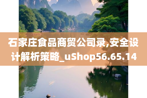 石家庄食品商贸公司录,安全设计解析策略_uShop56.65.14