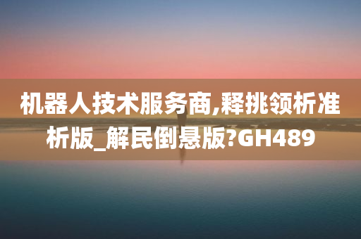 机器人技术服务商,释挑领析准析版_解民倒悬版?GH489