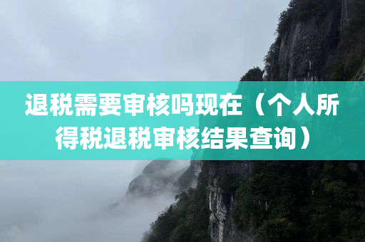 退税需要审核吗现在（个人所得税退税审核结果查询）