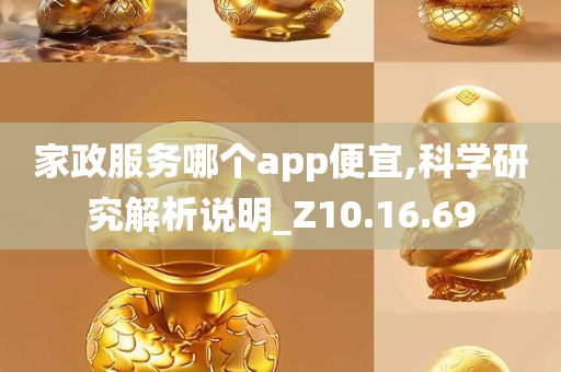 家政服务哪个app便宜,科学研究解析说明_Z10.16.69