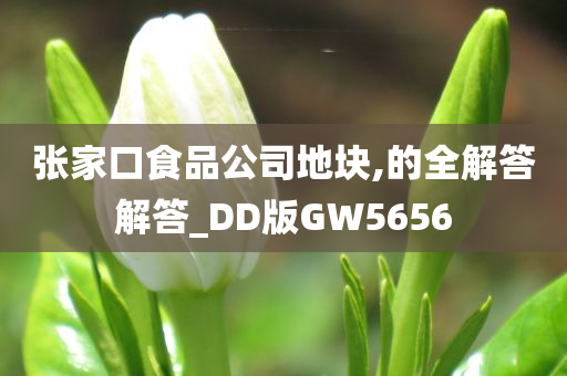 张家口食品公司地块,的全解答解答_DD版GW5656