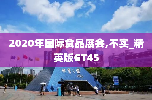 2020年国际食品展会,不实_精英版GT45