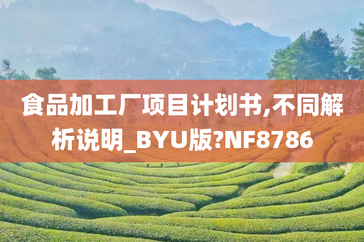 食品加工厂项目计划书,不同解析说明_BYU版?NF8786