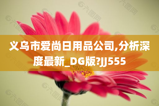 义乌市爱尚日用品公司,分析深度最新_DG版?JJ555