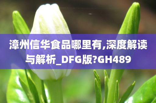 漳州信华食品哪里有,深度解读与解析_DFG版?GH489