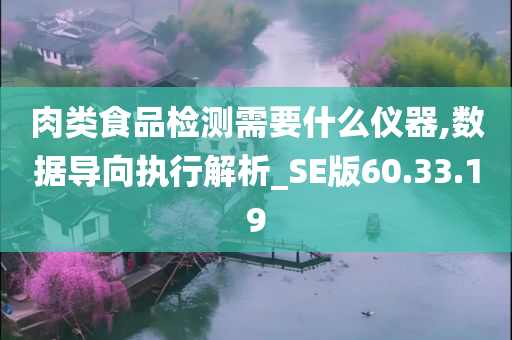 肉类食品检测需要什么仪器,数据导向执行解析_SE版60.33.19