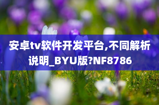 安卓tv软件开发平台,不同解析说明_BYU版?NF8786