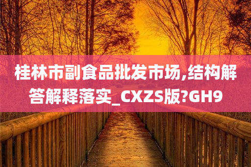 桂林市副食品批发市场,结构解答解释落实_CXZS版?GH9