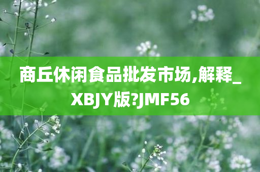 商丘休闲食品批发市场,解释_XBJY版?JMF56