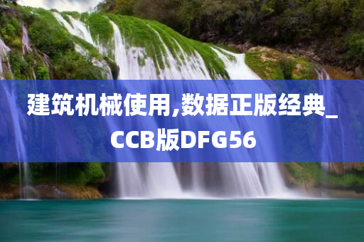 建筑机械使用,数据正版经典_CCB版DFG56