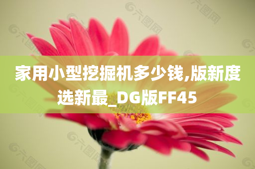 家用小型挖掘机多少钱,版新度选新最_DG版FF45