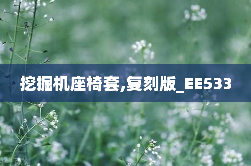 挖掘机座椅套,复刻版_EE533