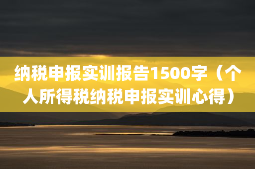 纳税申报实训报告1500字（个人所得税纳税申报实训心得）