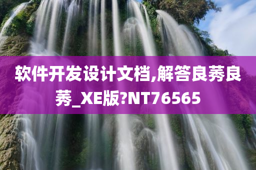 软件开发设计文档,解答良莠良莠_XE版?NT76565