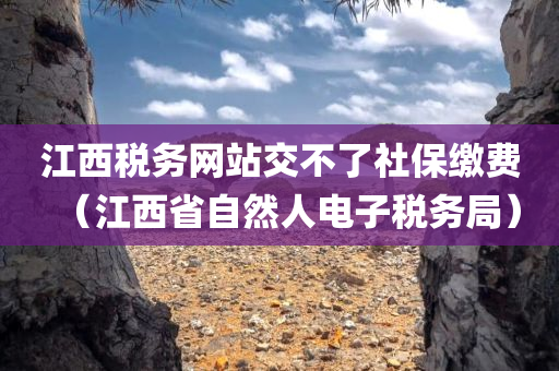 江西税务网站交不了社保缴费（江西省自然人电子税务局）