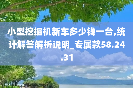 小型挖掘机新车多少钱一台,统计解答解析说明_专属款58.24.31