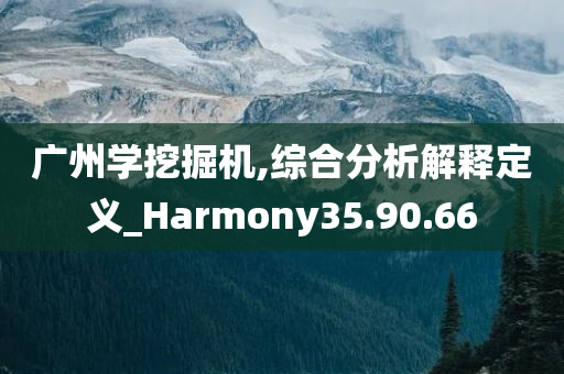 广州学挖掘机,综合分析解释定义_Harmony35.90.66