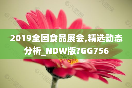 2019全国食品展会,精选动态分析_NDW版?GG756