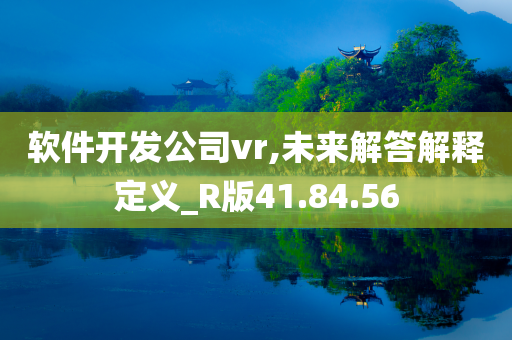 软件开发公司vr,未来解答解释定义_R版41.84.56