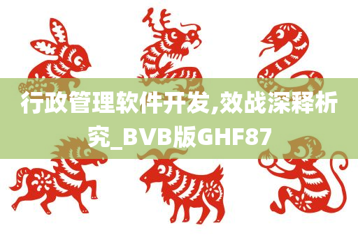 行政管理软件开发,效战深释析究_BVB版GHF87