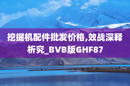 挖掘机配件批发价格,效战深释析究_BVB版GHF87