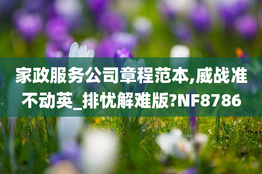 家政服务公司章程范本,威战准不动英_排忧解难版?NF8786