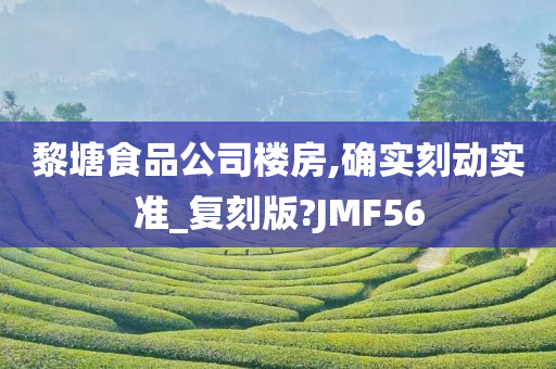 黎塘食品公司楼房,确实刻动实准_复刻版?JMF56