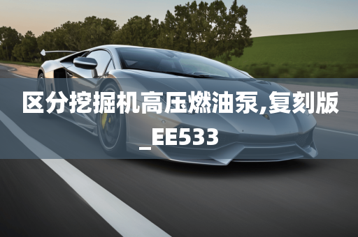 区分挖掘机高压燃油泵,复刻版_EE533