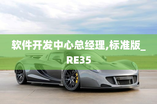 软件开发中心总经理,标准版_RE35