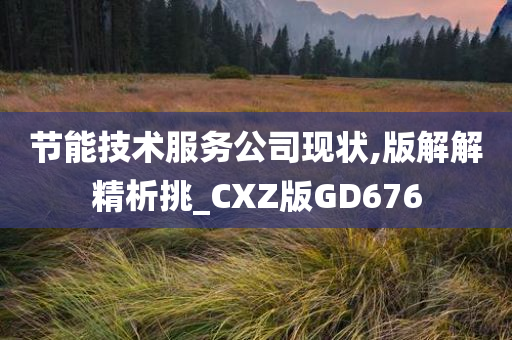 节能技术服务公司现状,版解解精析挑_CXZ版GD676