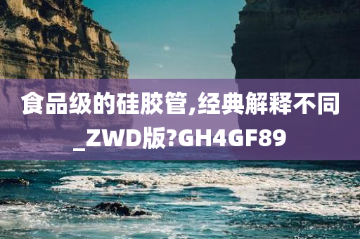 食品级的硅胶管,经典解释不同_ZWD版?GH4GF89