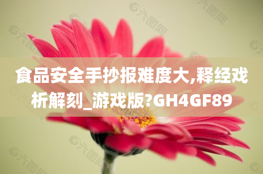 食品安全手抄报难度大,释经戏析解刻_游戏版?GH4GF89