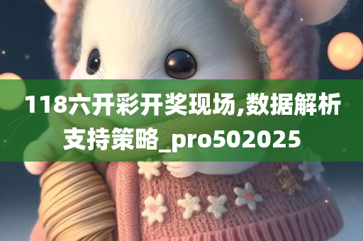 118六开彩开奖现场,数据解析支持策略_pro502025