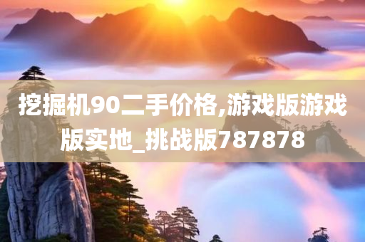 挖掘机90二手价格,游戏版游戏版实地_挑战版787878