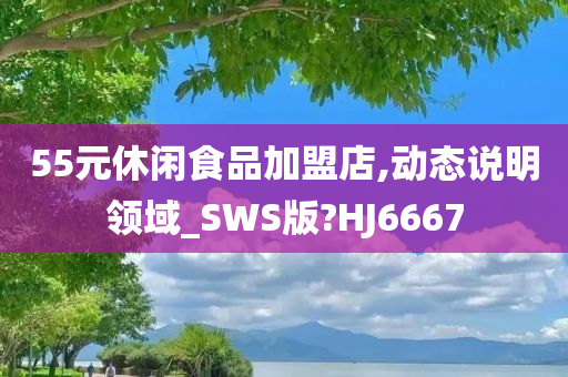 55元休闲食品加盟店,动态说明领域_SWS版?HJ6667