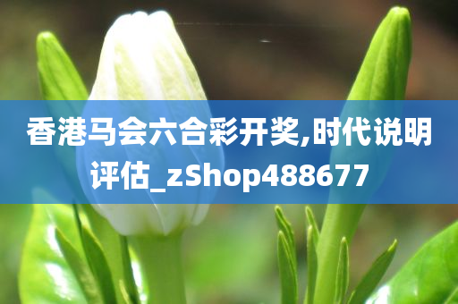 香港马会六合彩开奖,时代说明评估_zShop488677