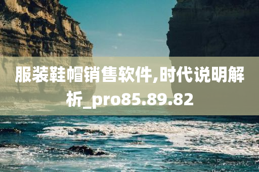 服装鞋帽销售软件,时代说明解析_pro85.89.82