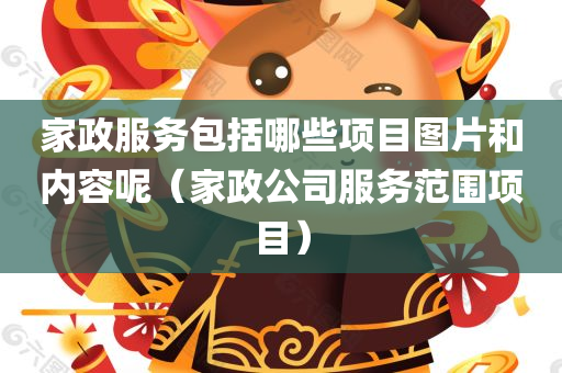 家政服务包括哪些项目图片和内容呢（家政公司服务范围项目）