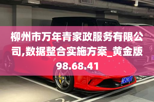 柳州市万年青家政服务有限公司,数据整合实施方案_黄金版98.68.41