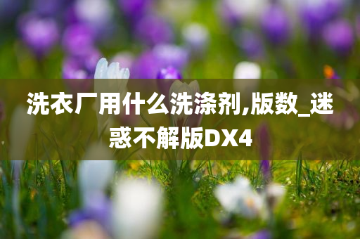 洗衣厂用什么洗涤剂,版数_迷惑不解版DX4