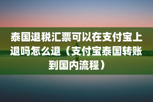 泰国退税汇票可以在支付宝上退吗怎么退（支付宝泰国转账到国内流程）