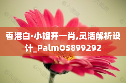 香港白·小姐开一肖,灵活解析设计_PalmOS899292