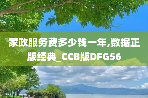 家政服务费多少钱一年,数据正版经典_CCB版DFG56